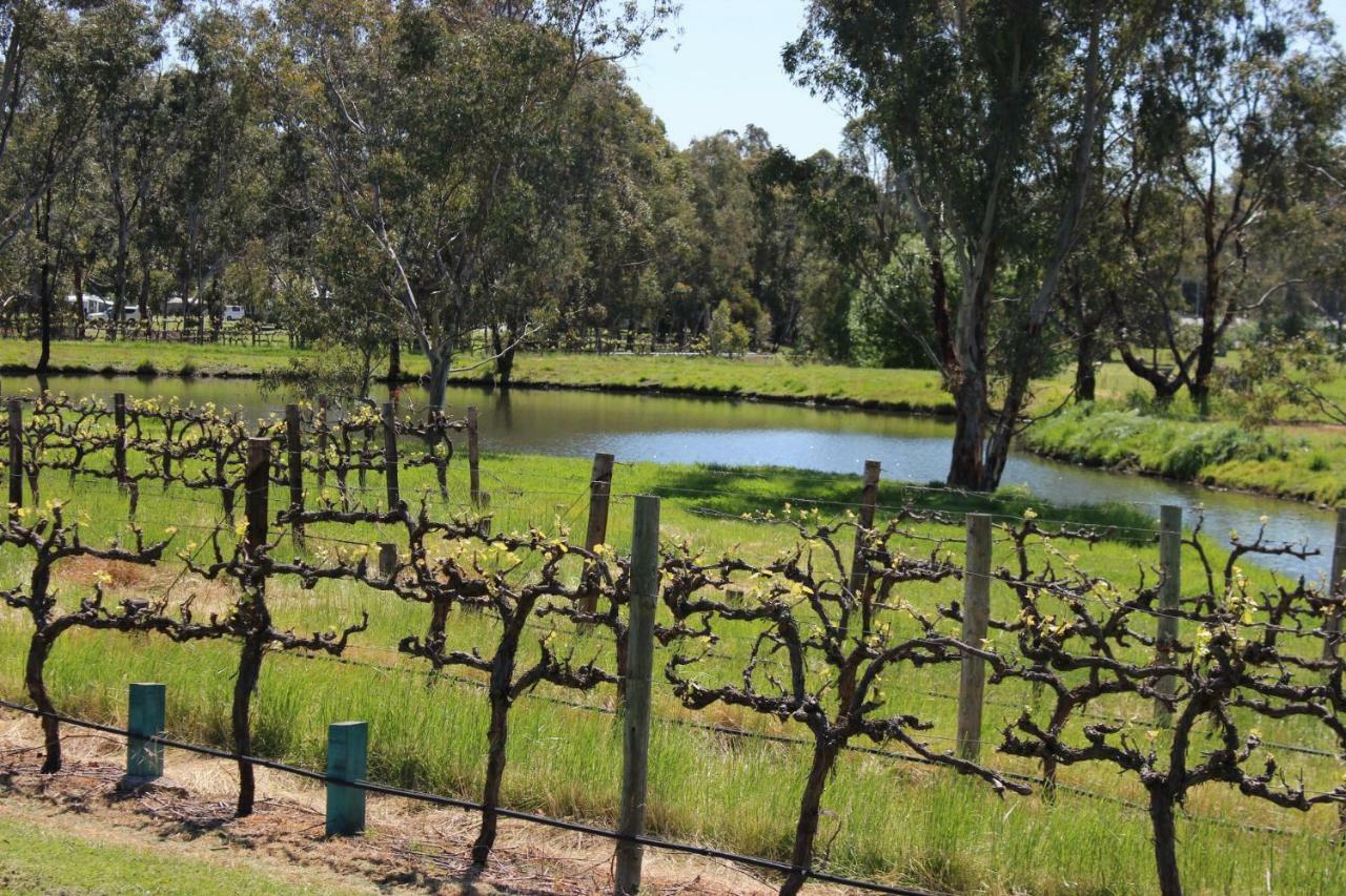 Oxenberry Farm Villa Mclaren Vale Exterior photo